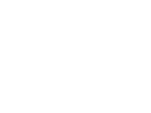 Holton & Company Email Encryption Homepage Logo 1